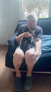 97 reactions · 6 comments | November is Adopt a Senior Pet month and...