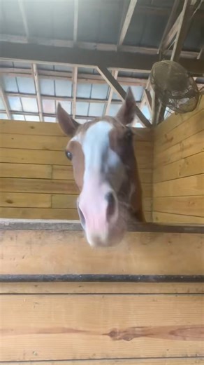 2K views · 40 reactions | Are you interested in becoming a Trinity...