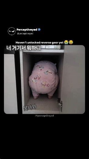 Perceptive | Viral Reels on Instagram: "Wait for end 💀 A kid getting stuck inside a wardrobe sounds funny at first, but what happens next is something everyone instantly relates to — because this isn’t just about being stuck, it’s about the reverse gear not unlocking yet. The moment captures that exact feeling when curiosity moves faster than logic. One second you’re confidently climbing in, the next second your brain realizes there’s no smooth exit strategy. No panic, no drama — just pure conf
