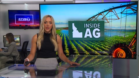 Inside Ag: Study shows grazing cattle can coexist on sage grouse habitat