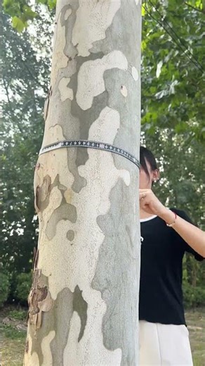 2月4日The Senda D35 automatic tape measure