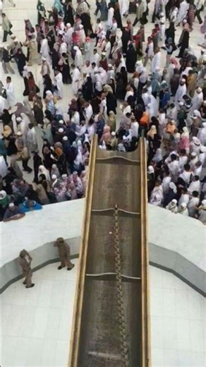 #jaidmeel #viralvideo #ytshorts