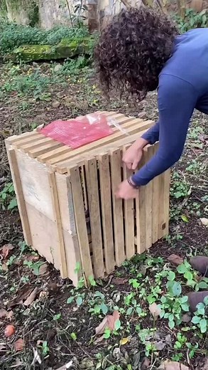 Not gorilla. But this is baby chimpanzee Kailo who was rescued from wildlife trafficking. To capture primate babies poachers have to kill the mothers because they will protect them till they die. Which is probably the case for baby Kailo. But Kailo is getting plenty of love now at the “Lwiro Primates” rehabilitation center. #babychimp #chimpanzee #rescued