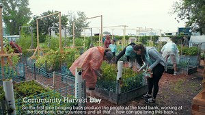 14 reactions · 15 shares | Foresters Financial on Reels | Facebook