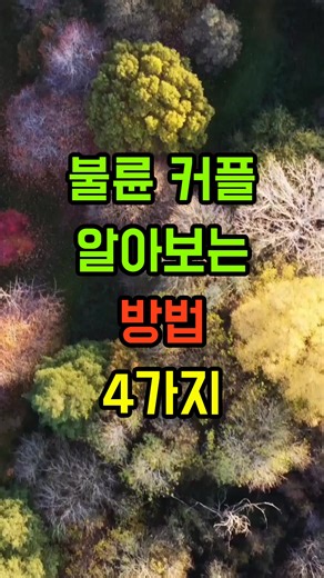 불륜 커플 알아보는 방법 4가지 #좋은글 #삶의지혜 #인생조언 #자기계발 #공감