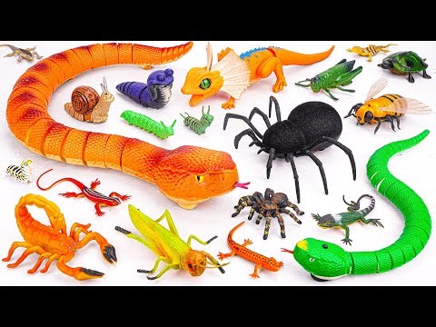 Ultimate ZURU Robo Alive Insects ASMR 🦎 Anaconda, Snake, Spider, Lizard, Worm (No Talking)