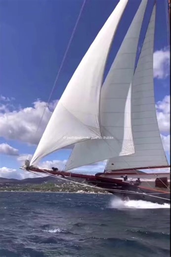 5.5K views · 55 reactions | 120 year old schooner Shenandoah of Sark | American News Daily | Facebook
