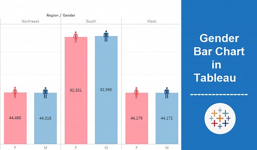 Gender Bar Graph In Tableau Visualization - Analytics Planets