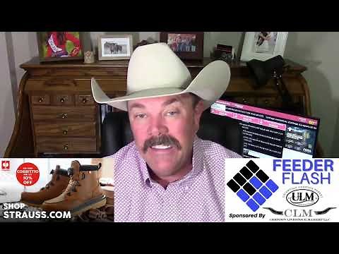 Feeder Flash 11/7: Cattle Still Selling Very Well