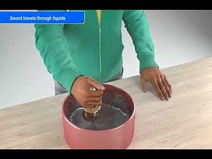 NCERT CBSE Class 8 Science Chapter 13 Sound Part 3