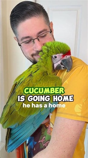 Preparing Cucumber For His Home!