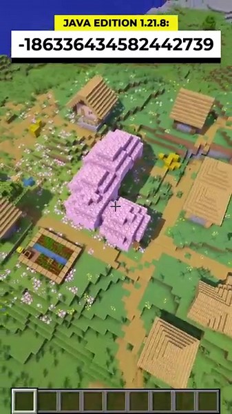 Minecraft Cherry Grove Village Island Seed!