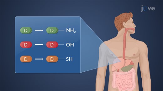 Video: Phase I Oxidative Reactions: Overview