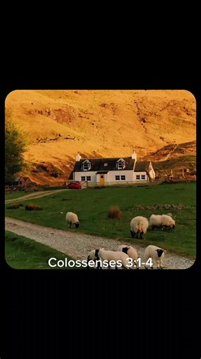 Espalhem o evangelho✝️ #versiculosbiblicos #evangelho #reflexão #Deus #jesus