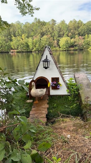 Lake Glen Haven Properties on Instagram: "A tiny floating house for some very important ducks.🦆"