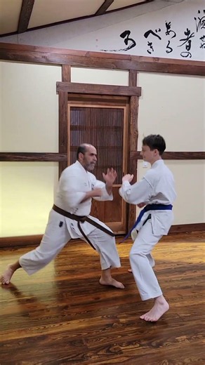 Stress testing karate basics. #martialarts #floridabudokan #karate