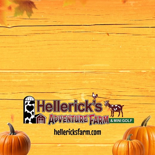 8.8K views | Fall Festival is still happening through November 23rd at Hellerick's Adventure Farm! Ride hayrides, navigate the corn maze, pick the perfect pumpkin, and score a hole in one at barnyard mini golf. Plus 40+ fun attractions for all ages. Create unforgettable family memories today! ‍ | Hellerick's Adventure Farm | Facebook