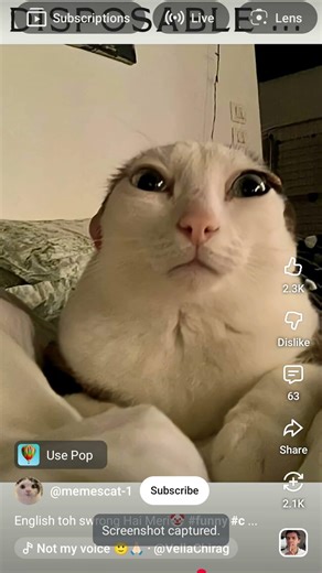 #comedy #funny english vs math