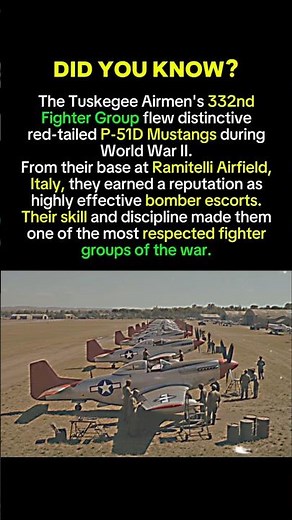 The Legendary Red-Tail P-51 Mustangs of the Tuskegee Airmen