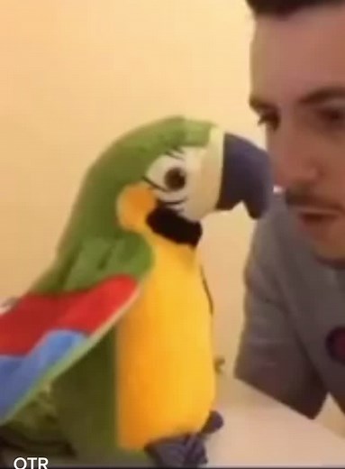 WELCOME._.TO._.MEME._.WORLD on TikTok