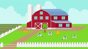 Flock animation of cow in the livestock with red barn background. Cartoon in 4k resolution