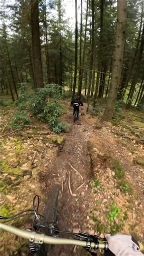 Loose off piste line #mtb #downhillmtb #mountainbike #fyp