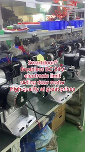 High-Quality Electronic Limit Motor for Sliding Doors