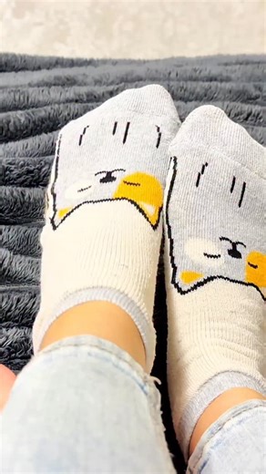 Easy DIY Cat Toys You Can Do At Home #cattoys #diycattoy #catsoftiktok #catsvideo #crafts #crafting #handmade #diyproject #catlover #catplaying Materials: • Socks • Scissors • Thread • Needle • Cat food • Shoelace | FastDIY