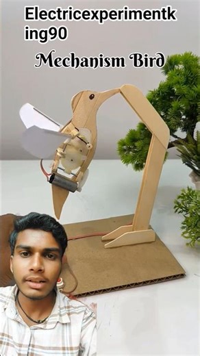 Mechanism Bird with DC Motor Amazing DIY Science Project Flying Bird Model#project #dcmotor #shorts