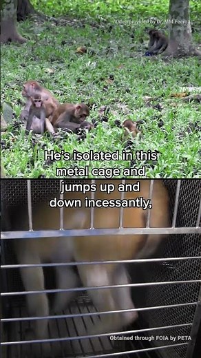 Where do you think he belongs?