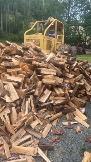 Tree farmer 353 Detroit