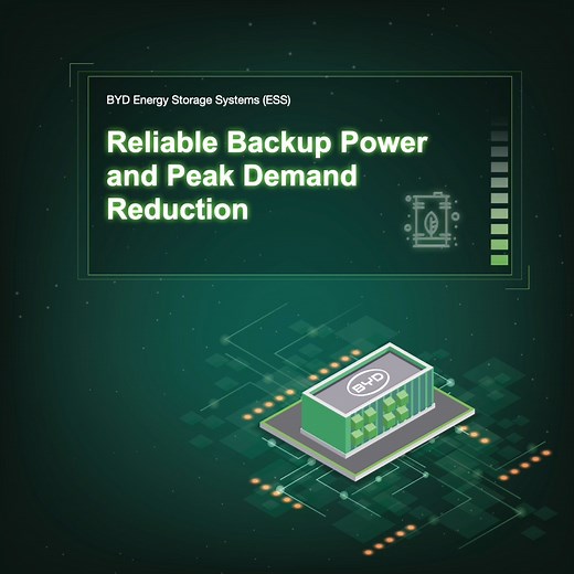 Nature provides, we conserve. #BYD #BuildYourDreams #BYDESS | BYD Global