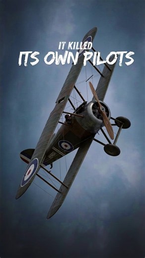 This Fighter Killed Almost as Many of Its Own Pilots as It Killed the Enemy. #ww1 #history #aviation
