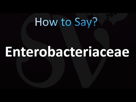 How to Pronounce Enterobacteriaceae (correctly!)