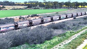 Imagine being a train driver trundling through fields of gold? The Western Australian Wheatbelt comes alive during our Wildflower season and isn't the vibrant yellow magnificent? We see here CBH 006 & 005 running empty from Kwinana between Goomalling and Dowerin on their way to Koorda in November of 2023 for more grain. | Railways of Western Australia