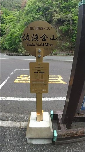 A rare sight: a golden bus timetable! [Sado Gold Mine]