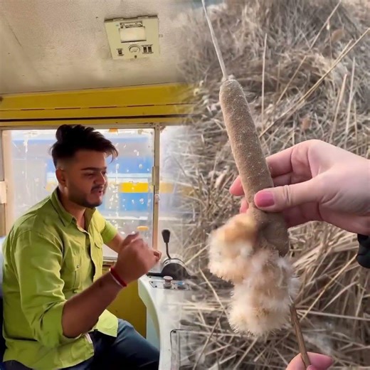 Driving Train For The First Time #shorts #ytshorts