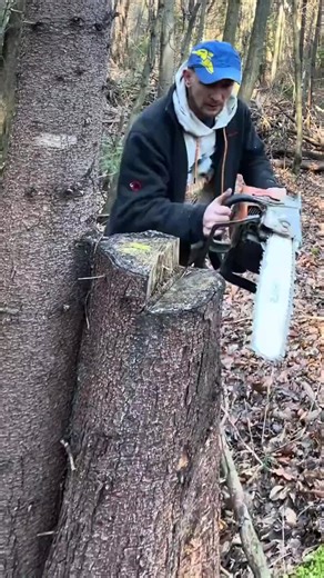 Discover the Magic of AI Bots: Tech Trends You Can't Miss