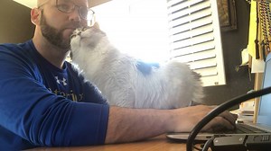 What a week, here is the best of it!!!!! | Try Not to Laugh