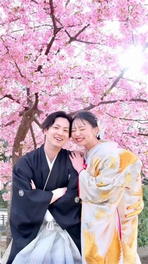 河津桜で奈良公園で結婚式の前撮り26年3月14日 #花嫁 #婚約 #カップル