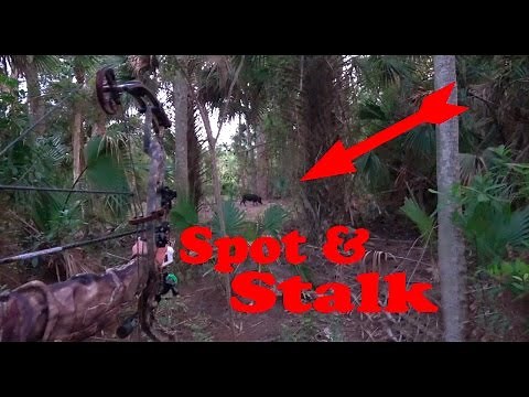 Archery Hog Hunt! Spot n Stalk, Skin it, Cook it and Eat it!!! wild pulled pork!