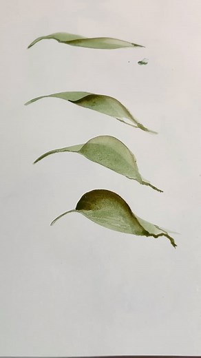 241K views · 6.9K reactions | This brush should be a staple in everyone’s collection - I LOVE using it. How easy and fun and beautiful are these leaves? 1/2” dagger by @kingartcompany . . #beyondbasics #beyondbasicsstudio #watercolour #watercolours #watercolourleaves #artlessons #easyart | Beyond Basics Creatives | Facebook