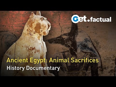 The Secret of the Animal Mummies | Full Documentary