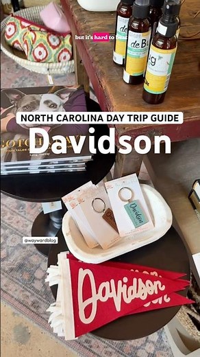Day Trip Guide to Davidson, North Carolina