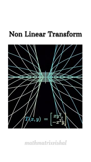Non-Linear Transform Visualization Using Lines | Animated Math Concepts for Easy Understanding #Math