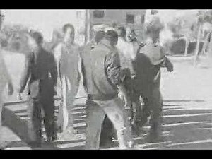 Italian Air Force (Regia Aeronautica) in Action - 1942