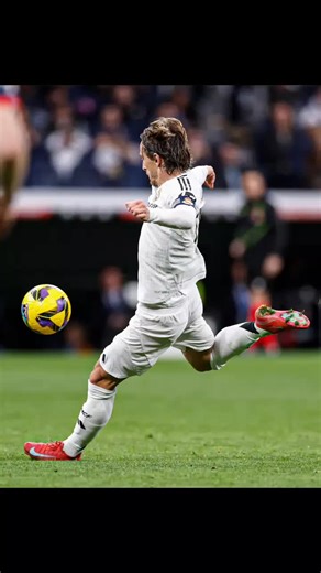 Vidéos de amara Sangaré. (@amara8336) avec son original - HAMZA TRAORÉ