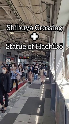 Chito tours Shibuya Crossing and the Statue of Hachikō #OFW #filipino #Philippines | Chito Seliva