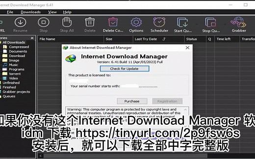 安装 Internet Download Manager 软件工具