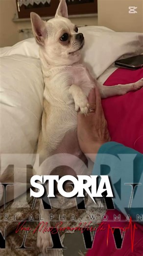 Occhi belli… ma stanchi 🖤